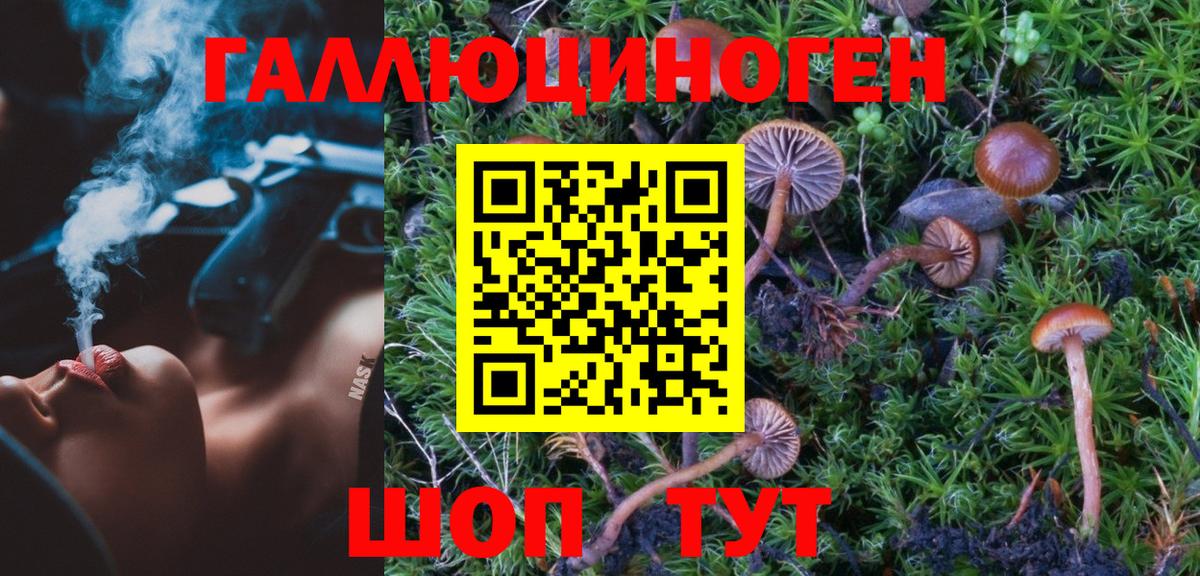 Кинель  Псилоцибиновые грибы мицелий  Вход с VPN 